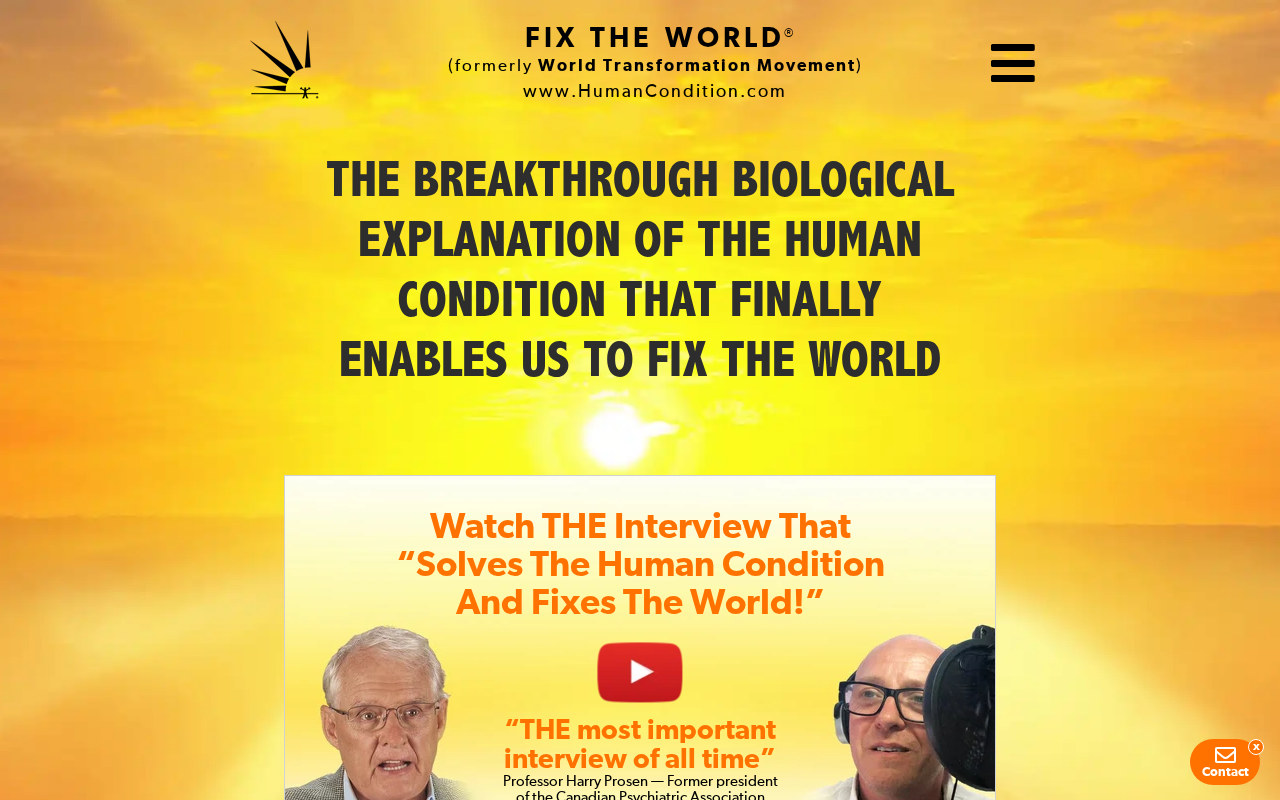 Screenshot of humancondition.com