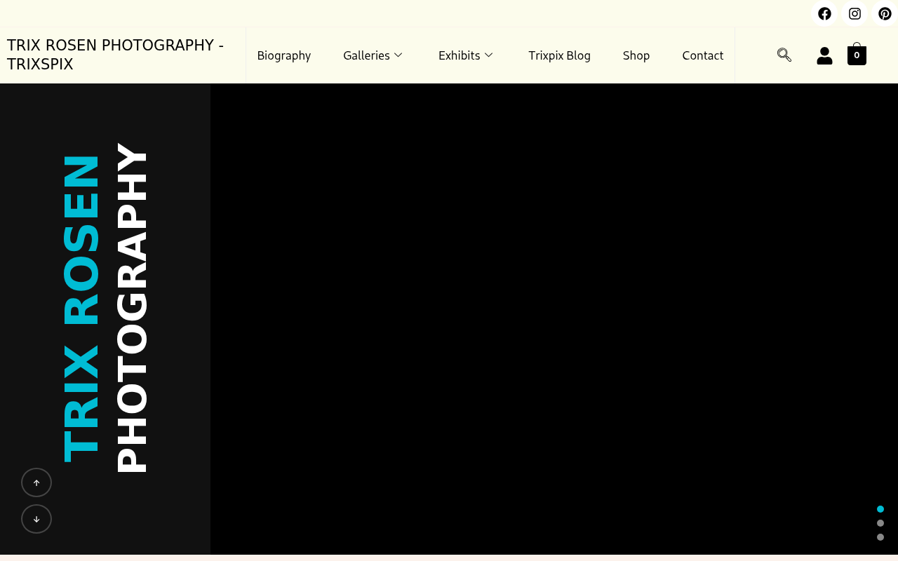 Screenshot of trixrosen.com