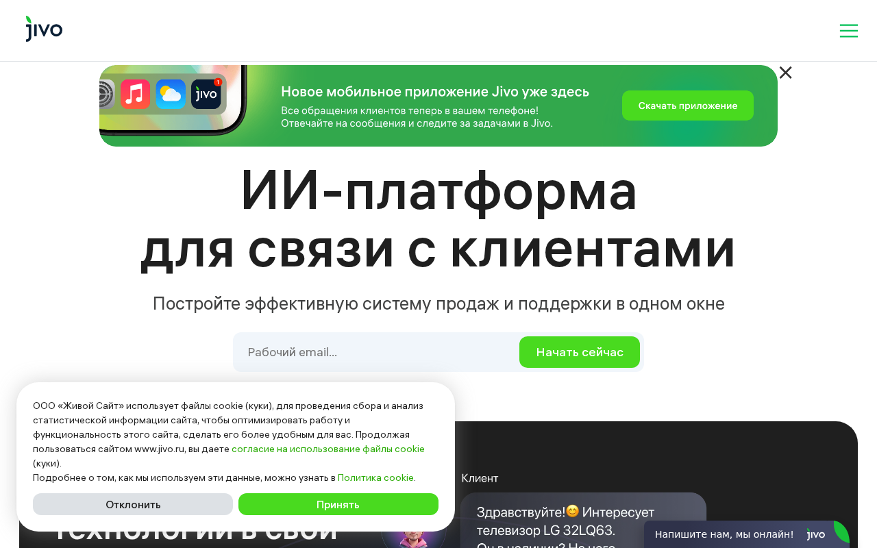Screenshot of jivo.ru