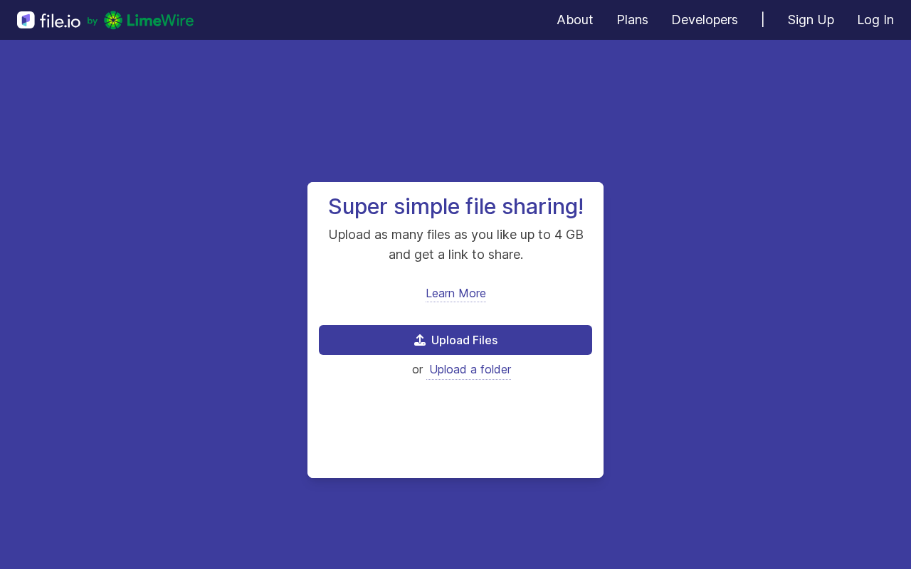 Screenshot of file.io