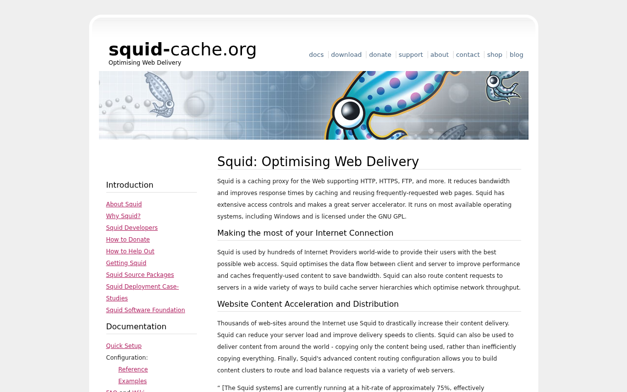 Screenshot of squid-cache.org