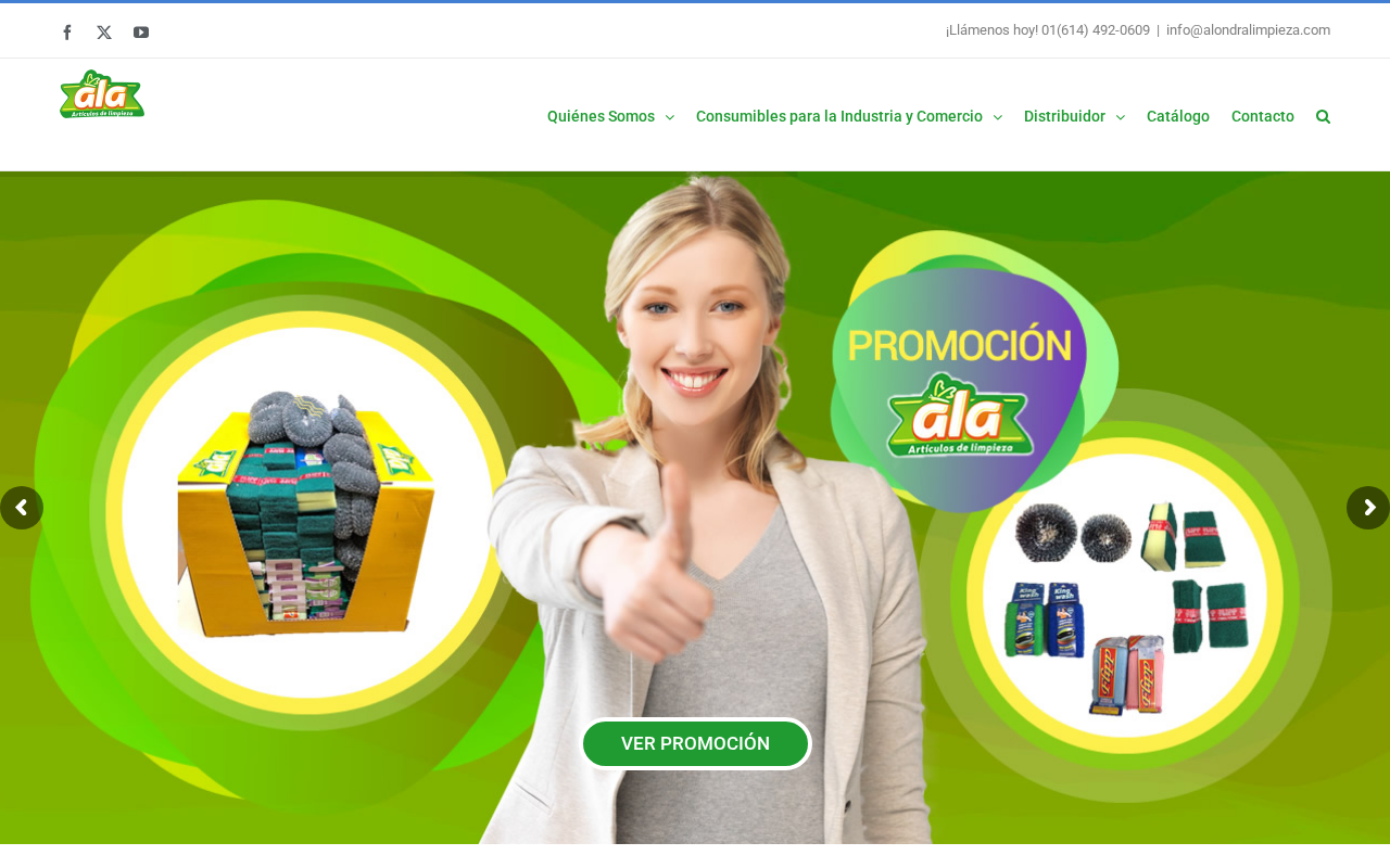Screenshot of alondralimpieza.mx