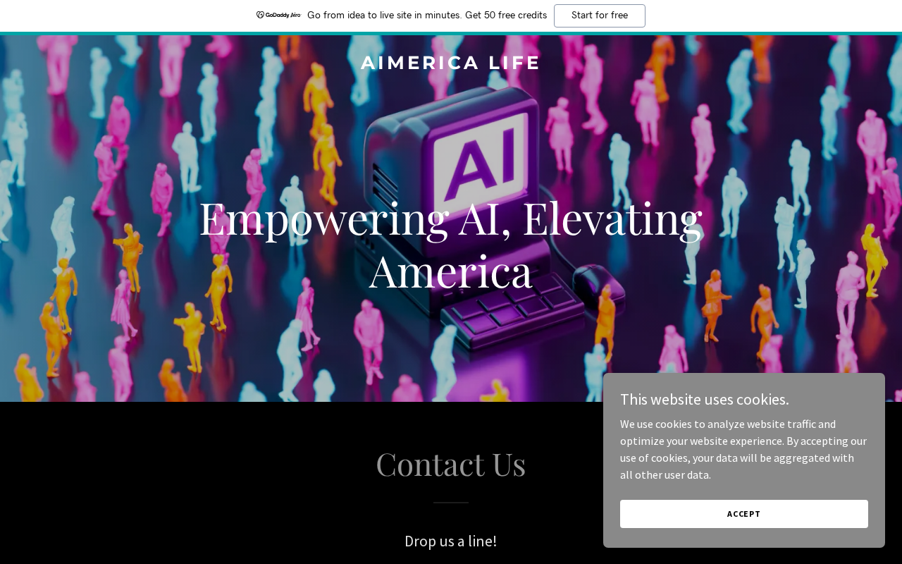 Screenshot of aimerica.life
