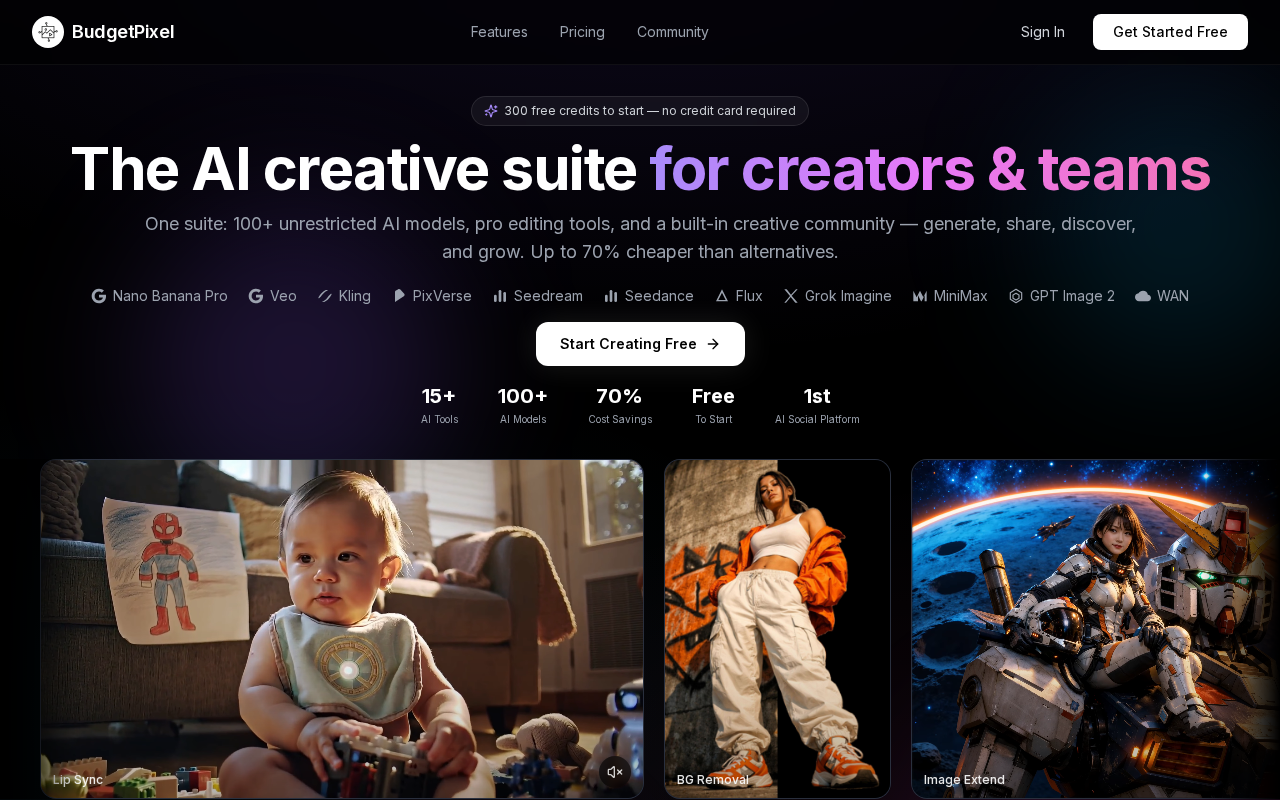 Captured page preview of budgetpixel.com