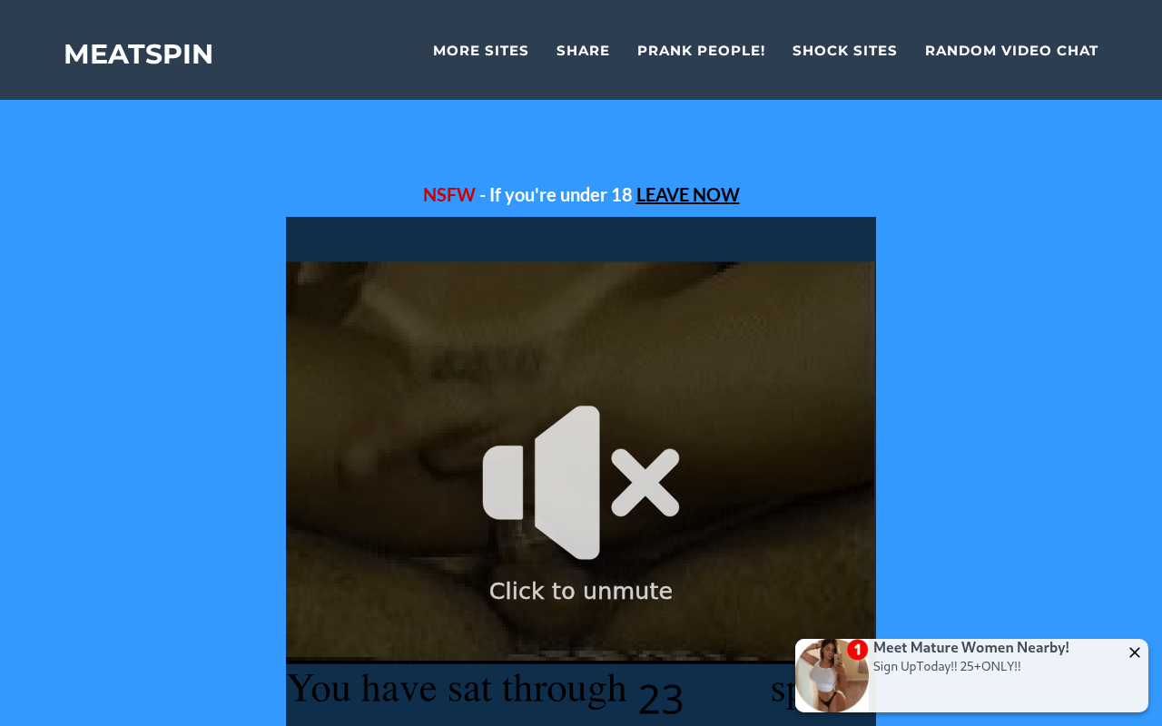 Screenshot of meatspin.com
