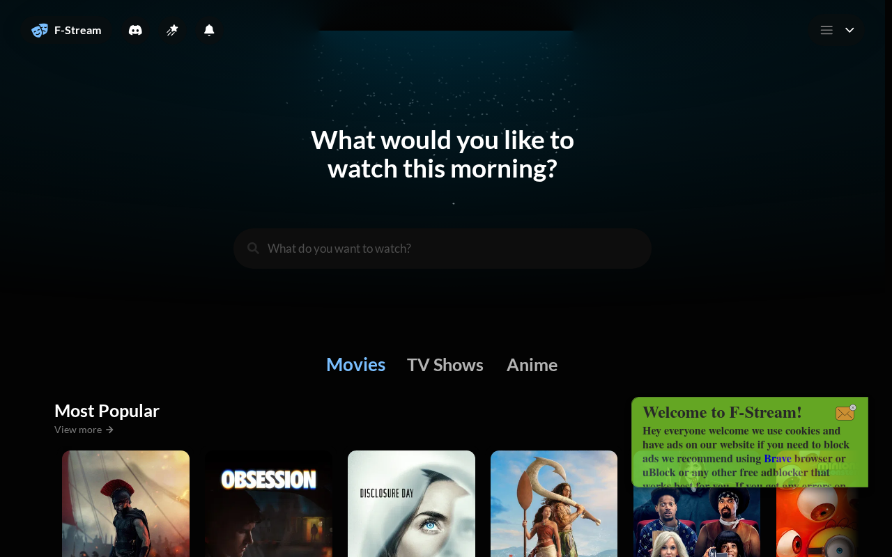 Captured page preview of fstream.app