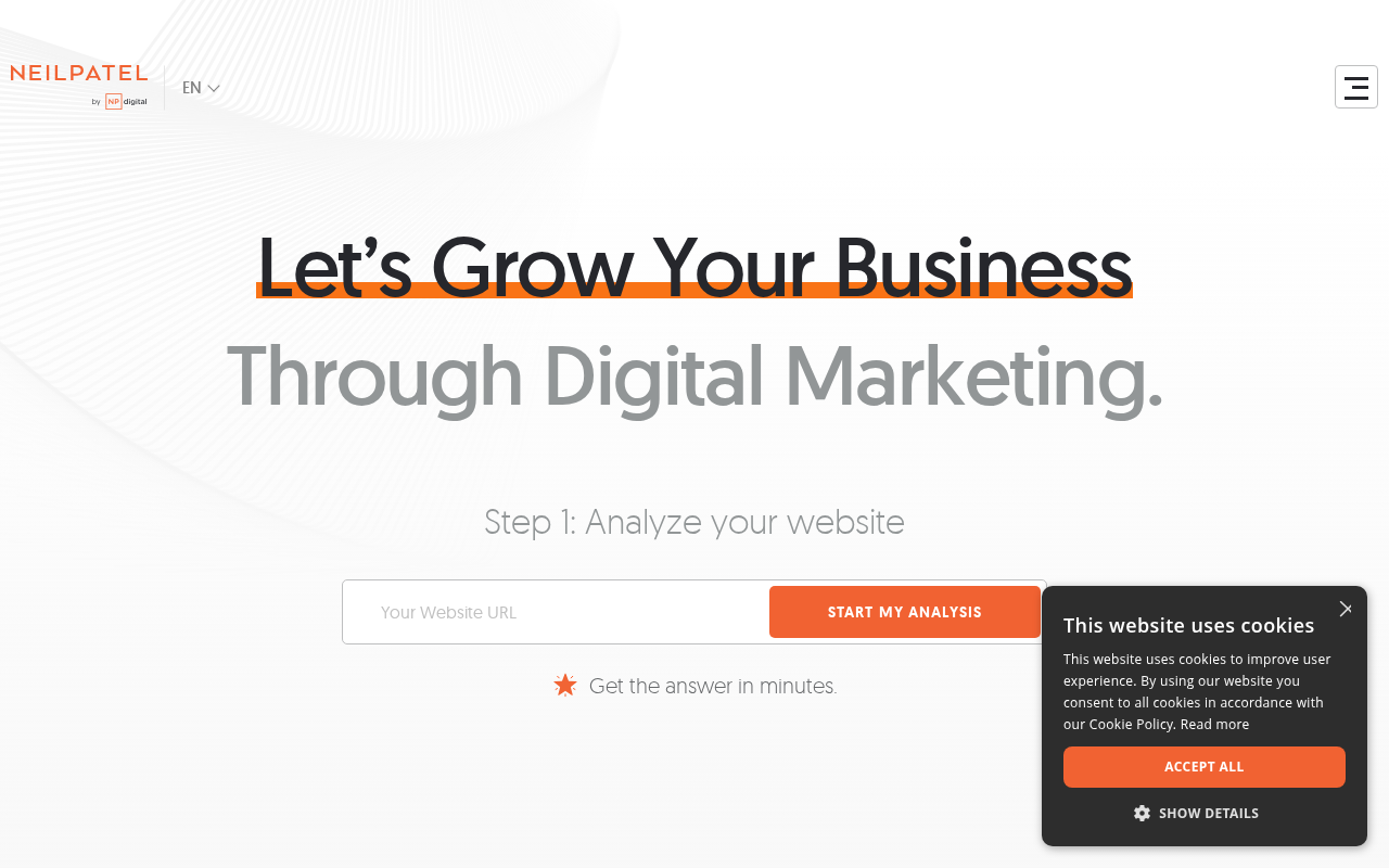 Screenshot of neilpatel.com