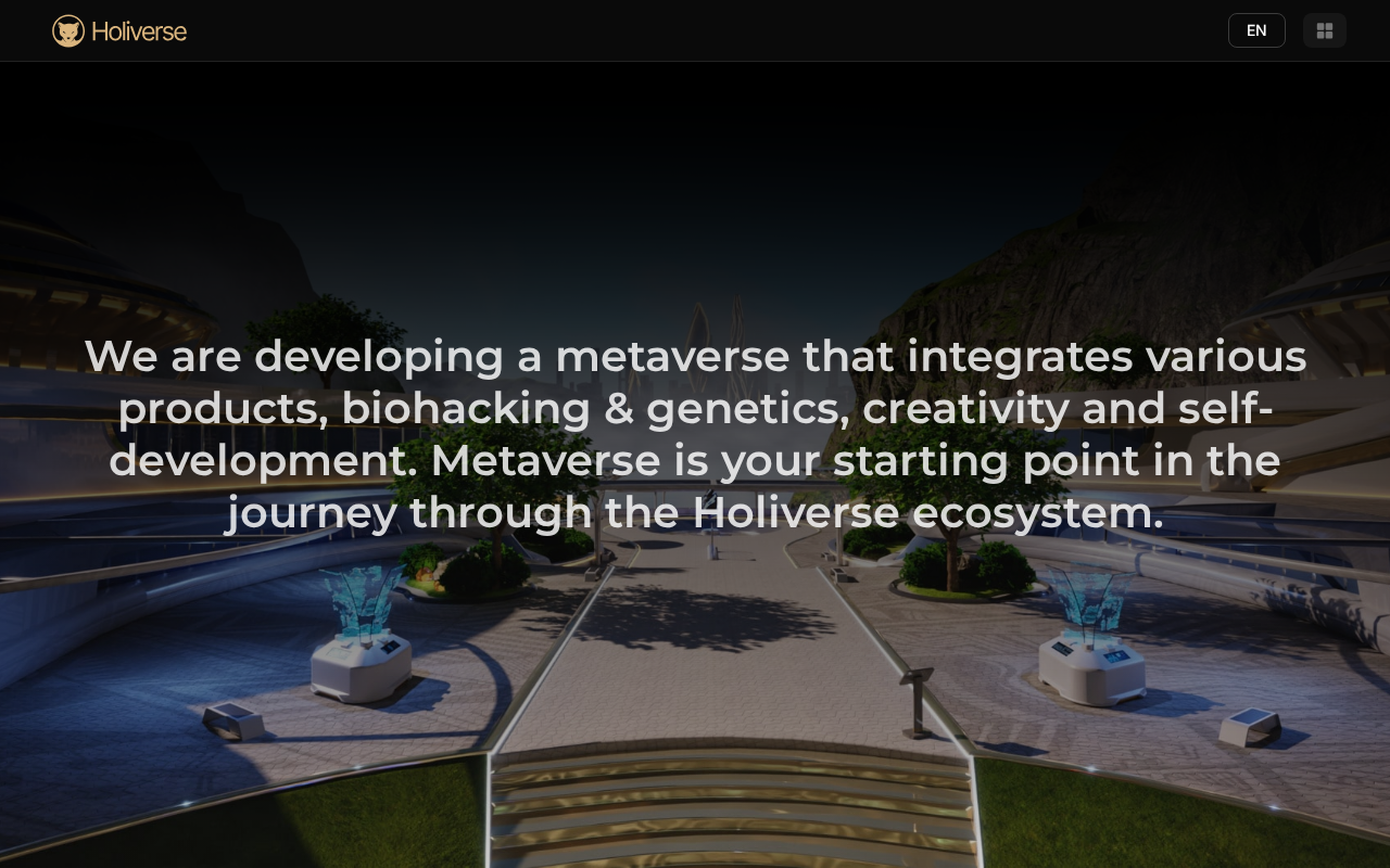 Screenshot of holiverse.ai