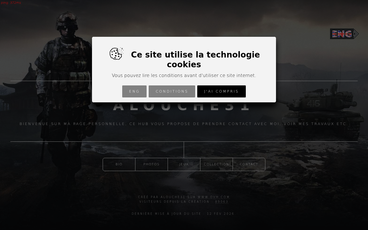 Screenshot of alouche31.fr