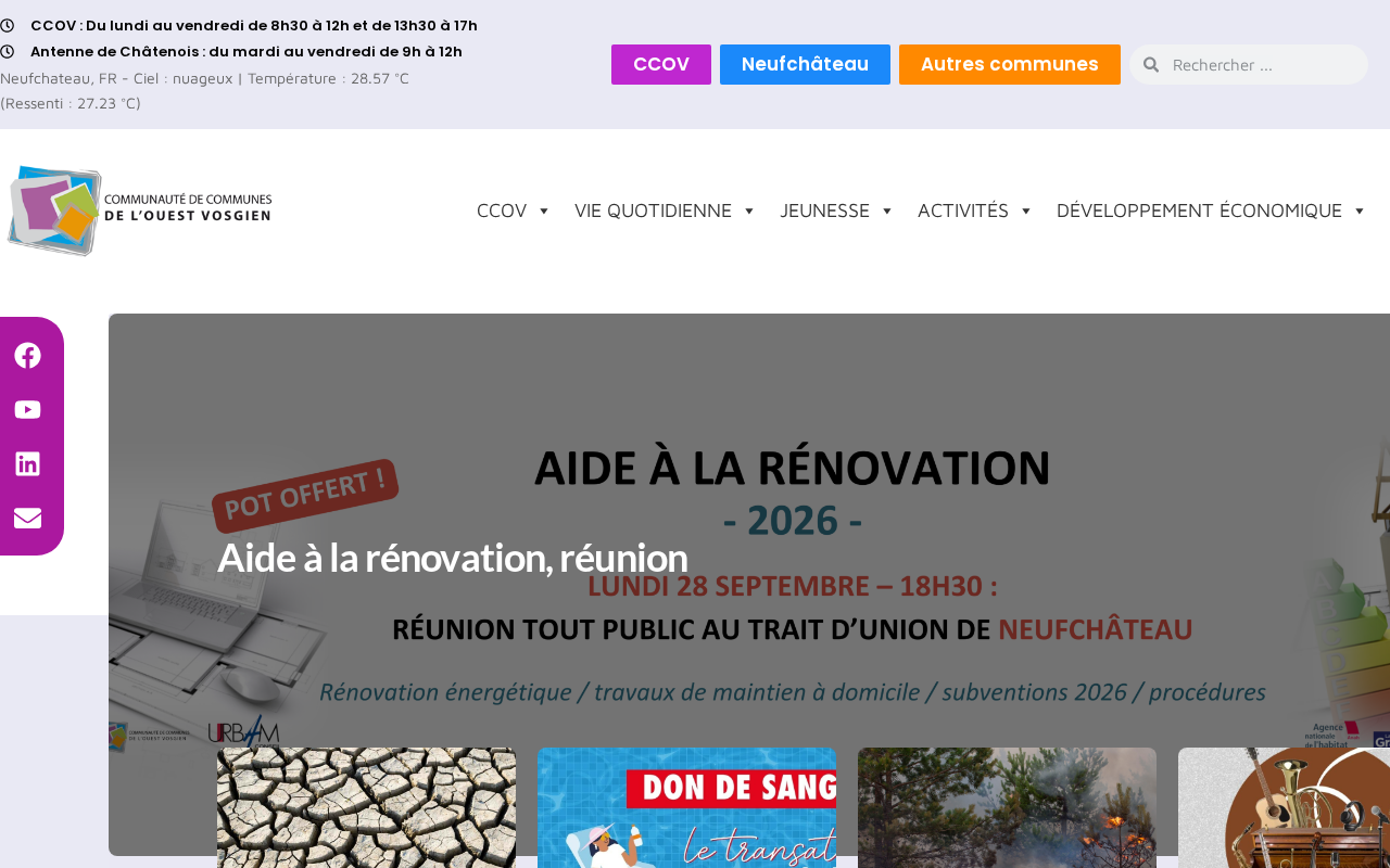 Screenshot of ccov.fr