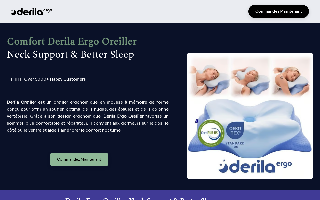 Screenshot of oreiller-derila.fr
