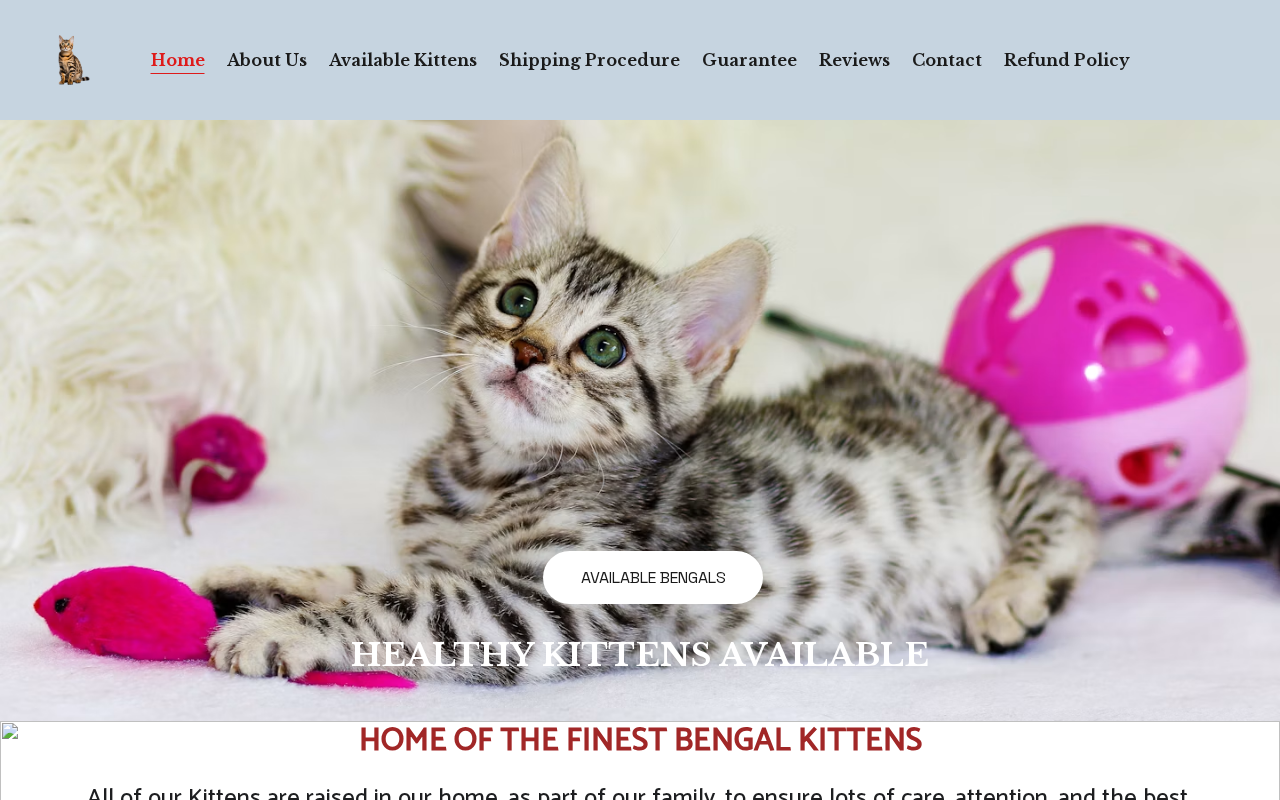 Screenshot of www.elitebengalkittens.com