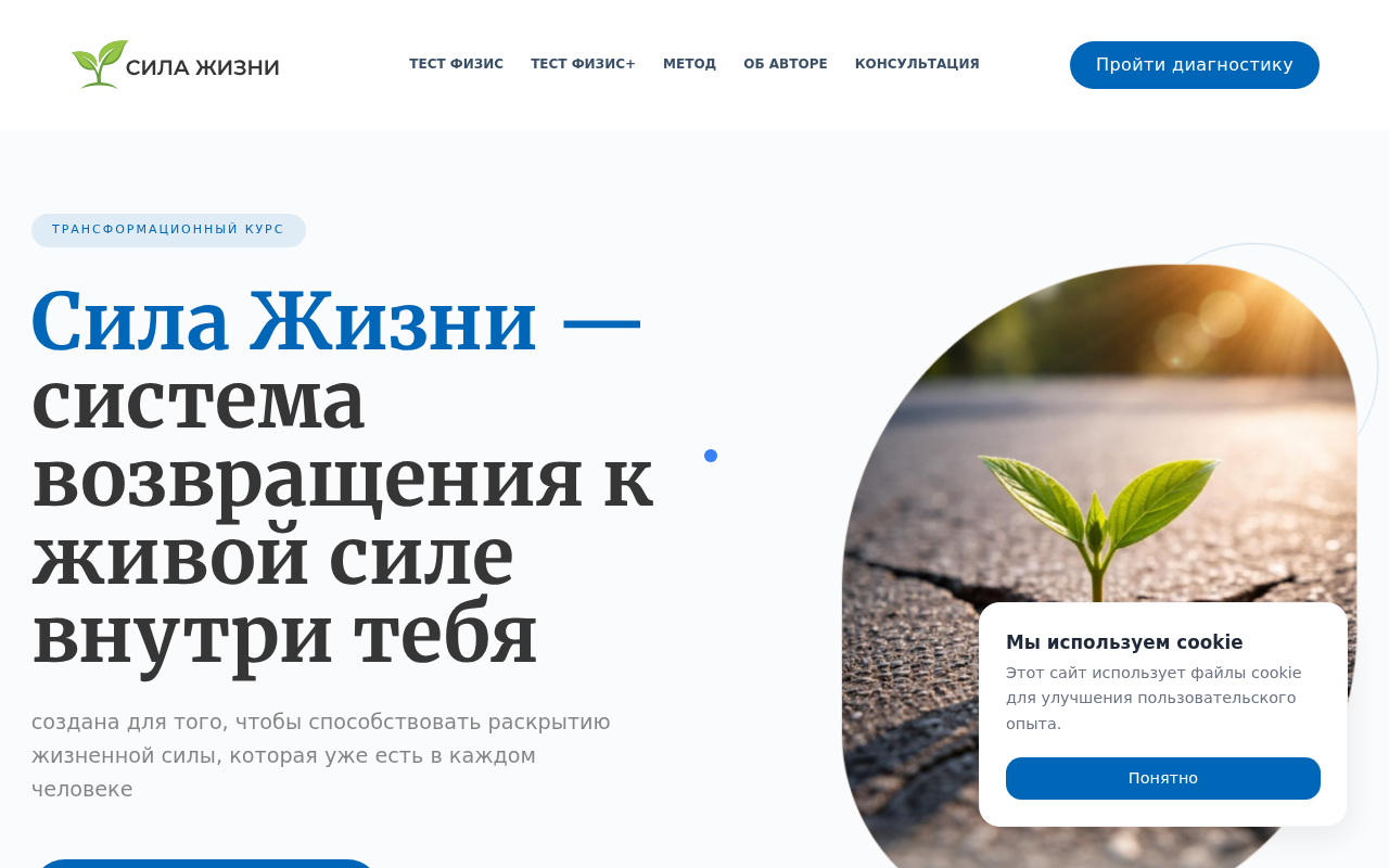 Screenshot of silazhizni.com