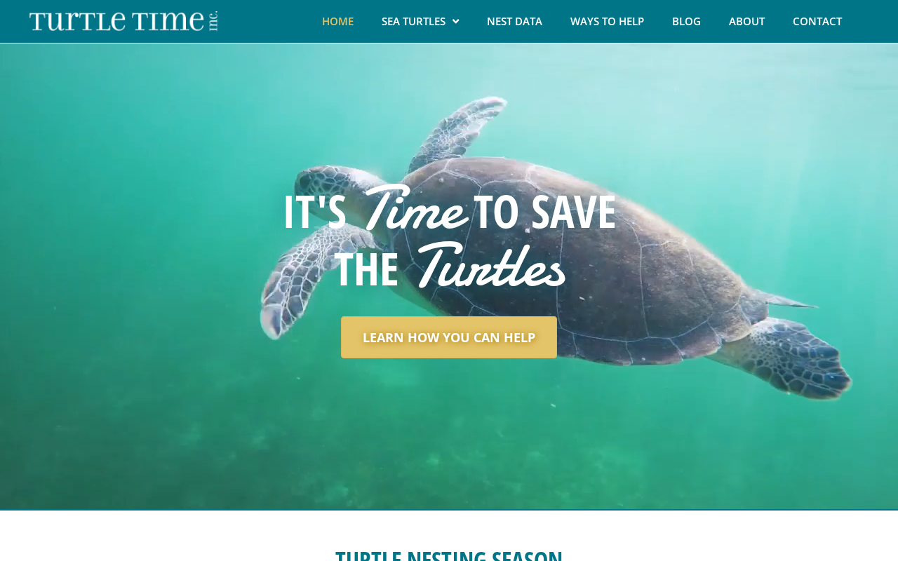 Screenshot of turtletime.org