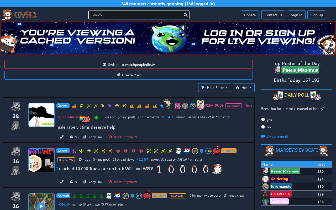 Captured page preview of watchpeoplelive.tv