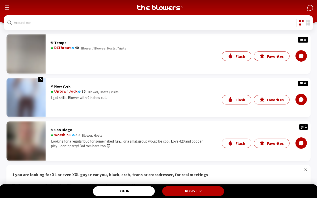 Screenshot of theblowers.com