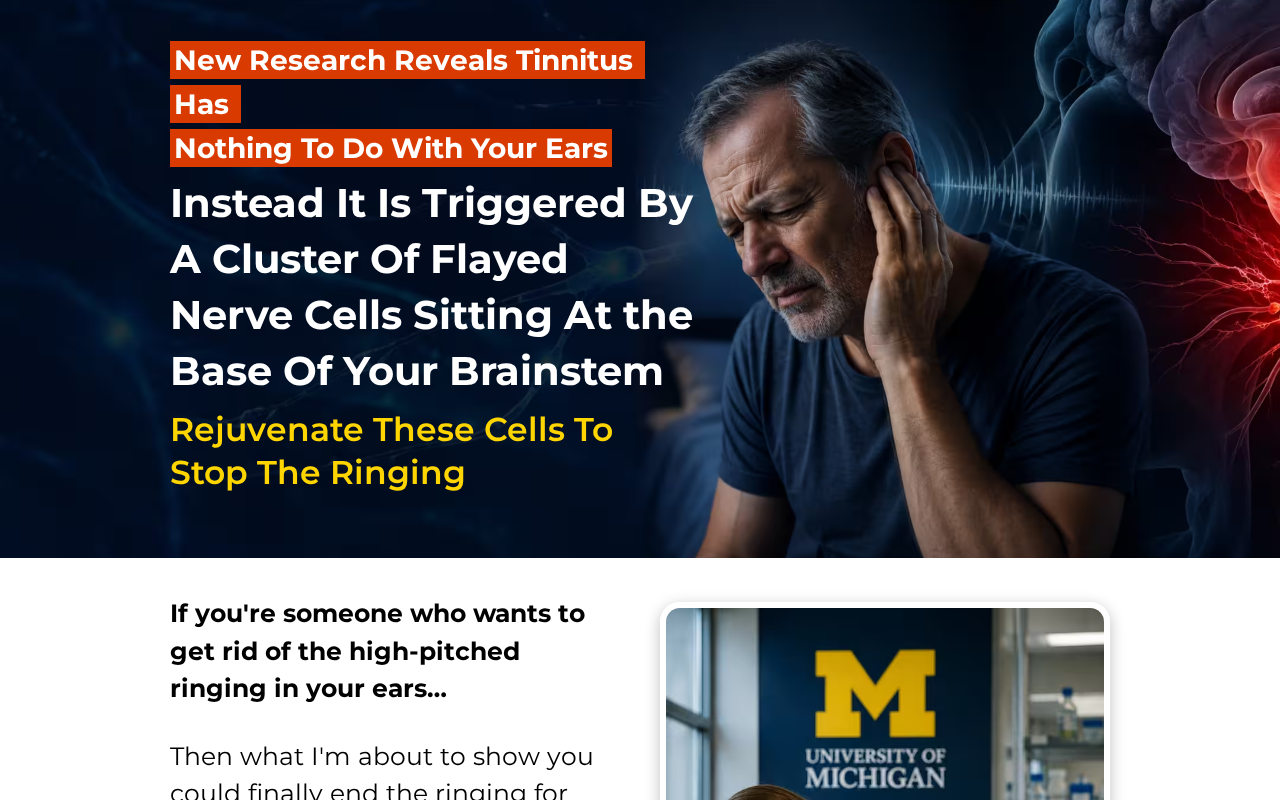 Screenshot of getmindsilence.com