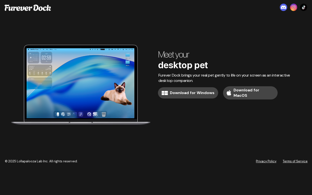 Captured page preview of fureverdock.com