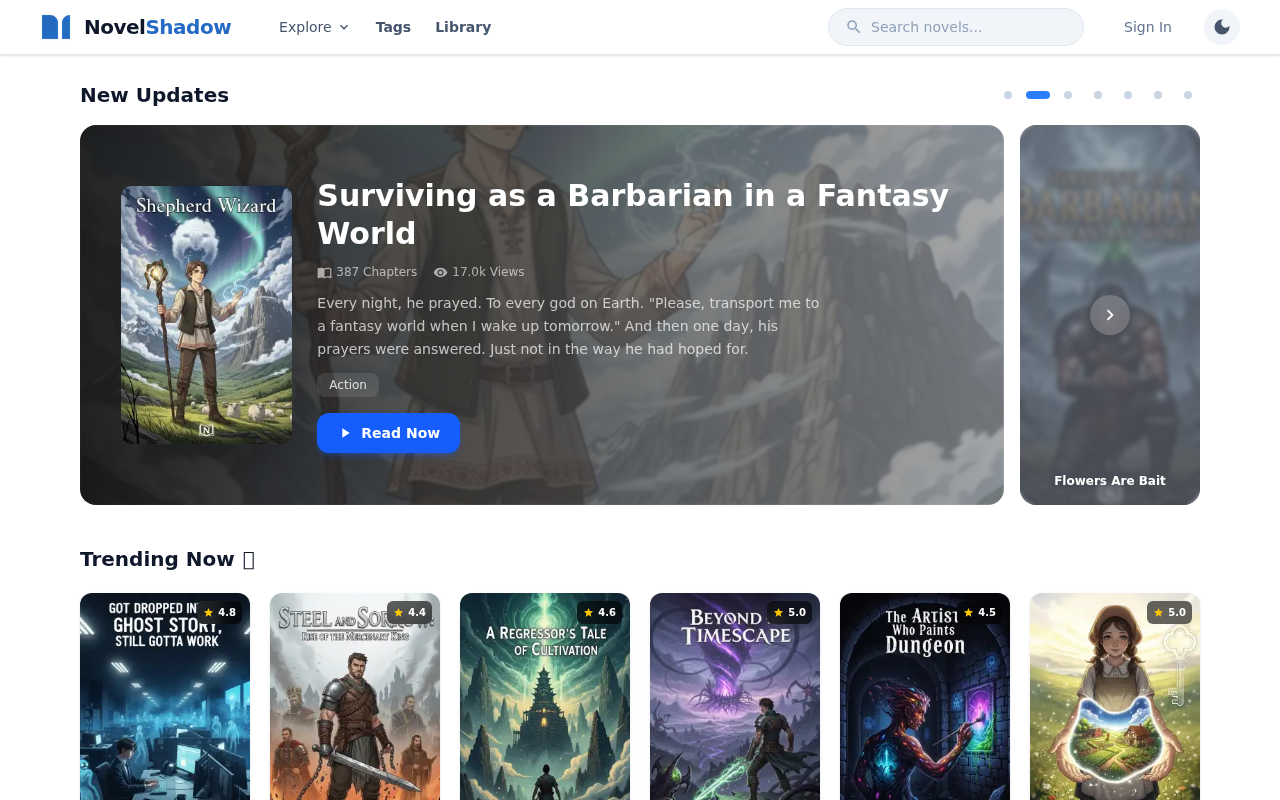 Screenshot of novelshadow.com