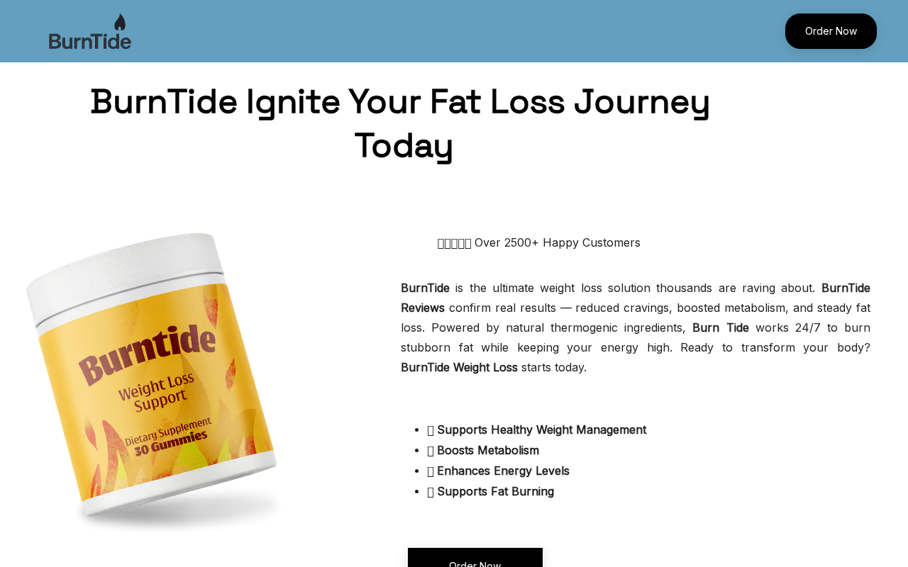 Screenshot of burn-tide.com