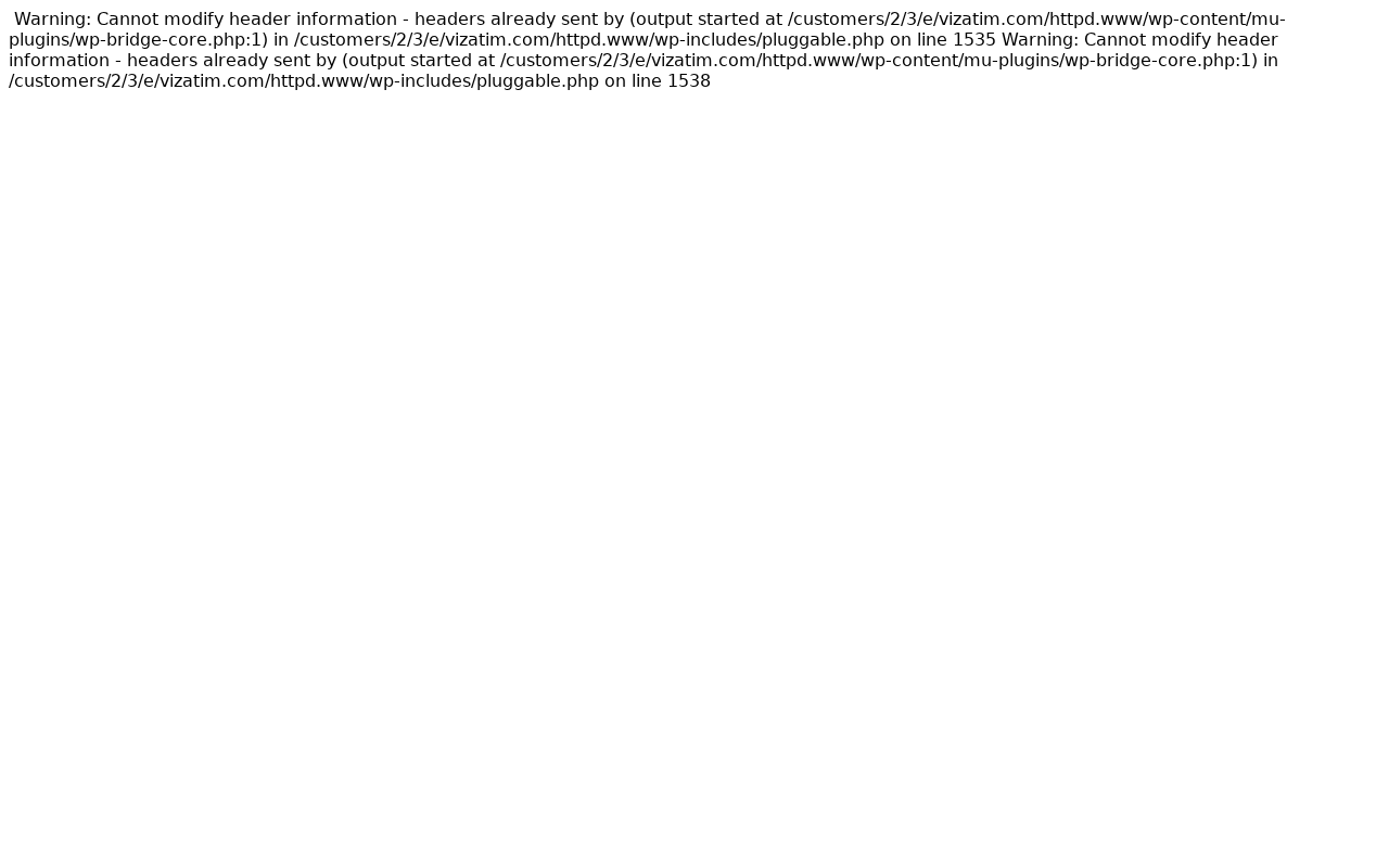 Screenshot of vizatim.com