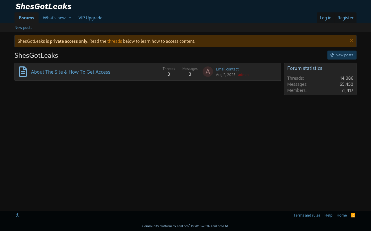 Screenshot of shesgotleaks.pk