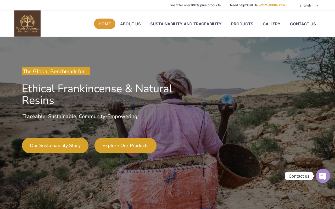 Screenshot of younisaroma.com