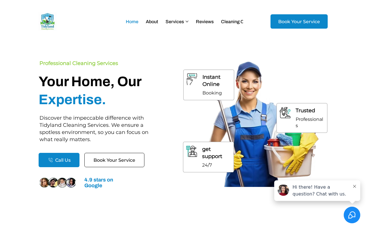 Screenshot of tidylandcleaningservices.com