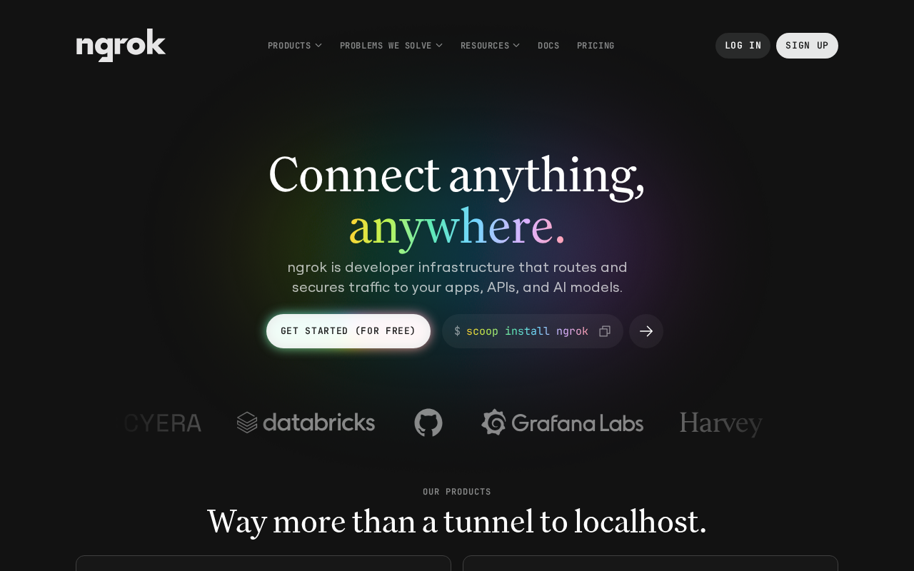 Captured page preview of ngrok.com