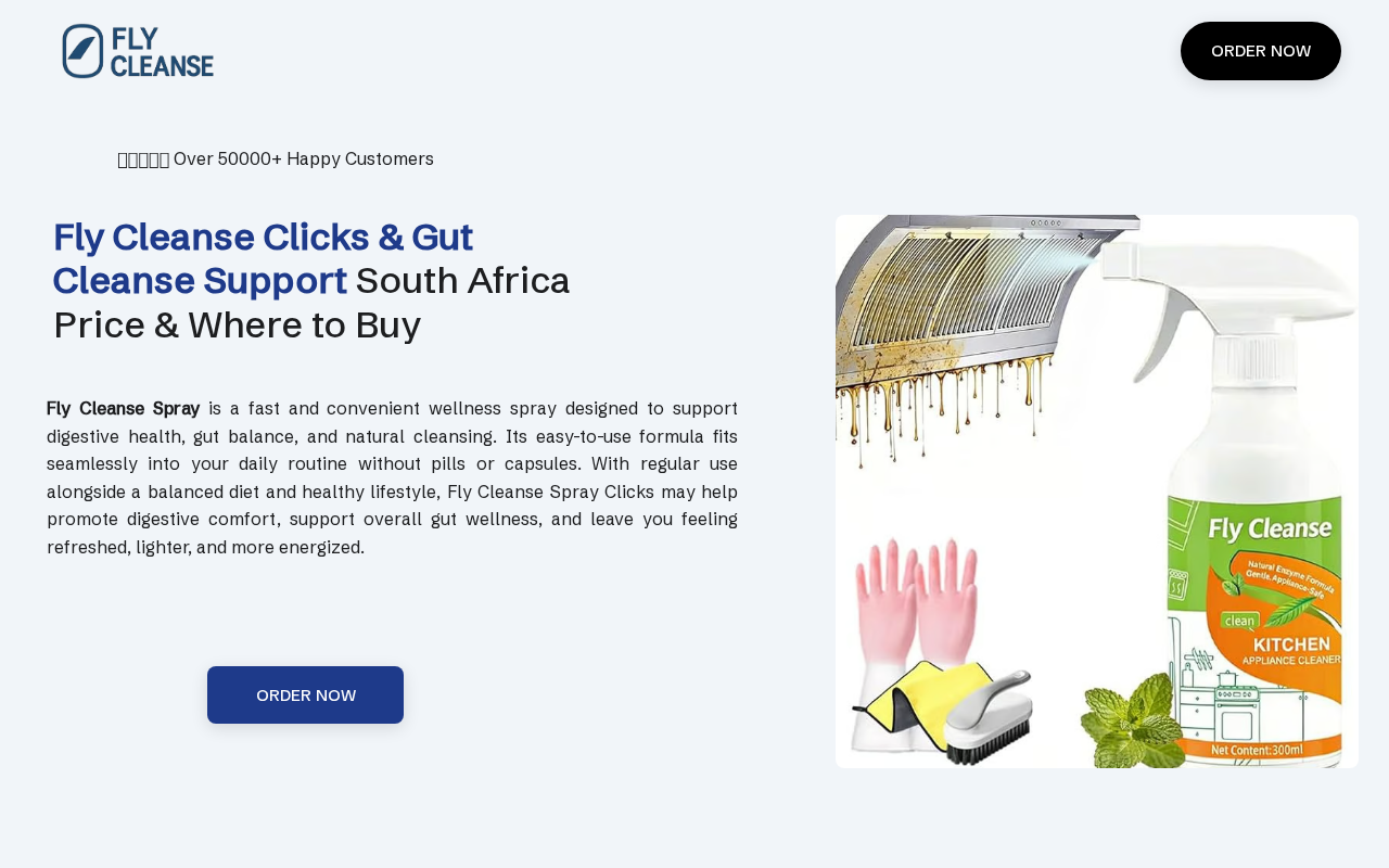Screenshot of flycleanse.co.za