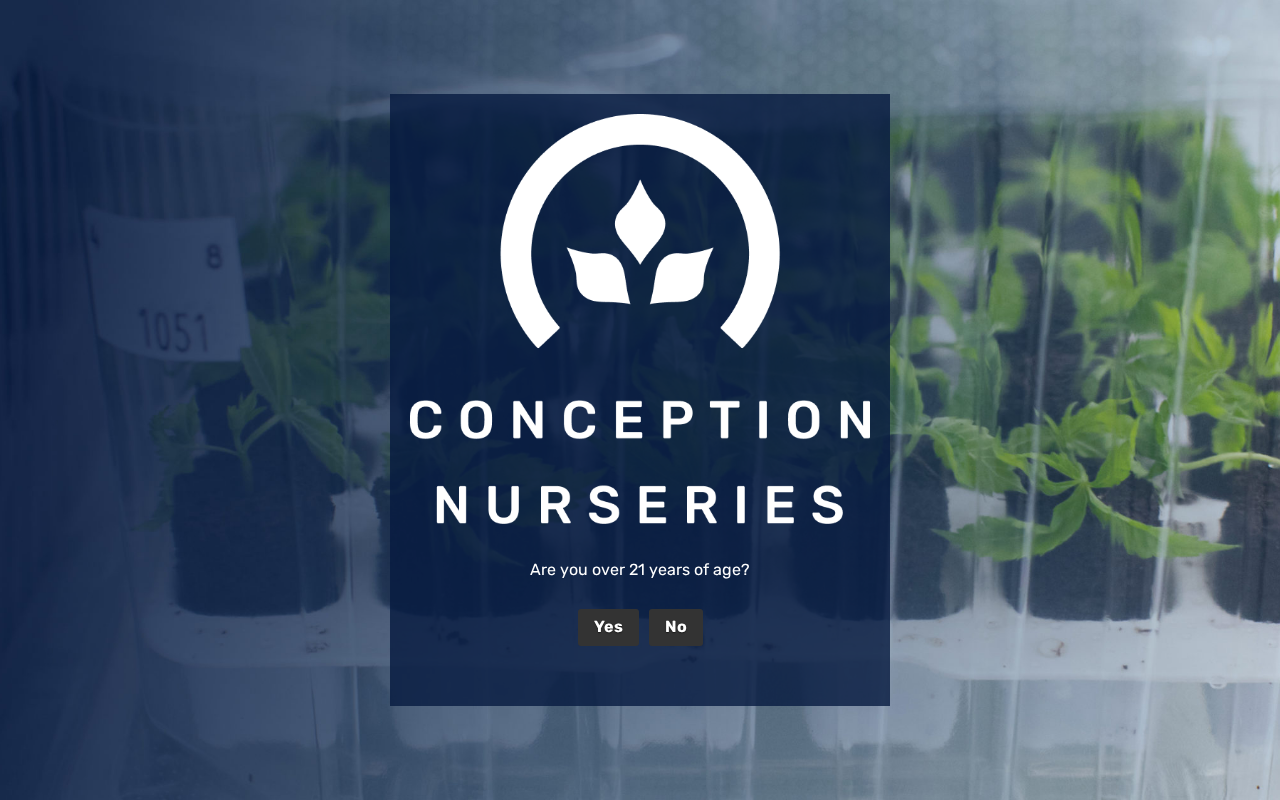 Screenshot of conceptionnurseries.com