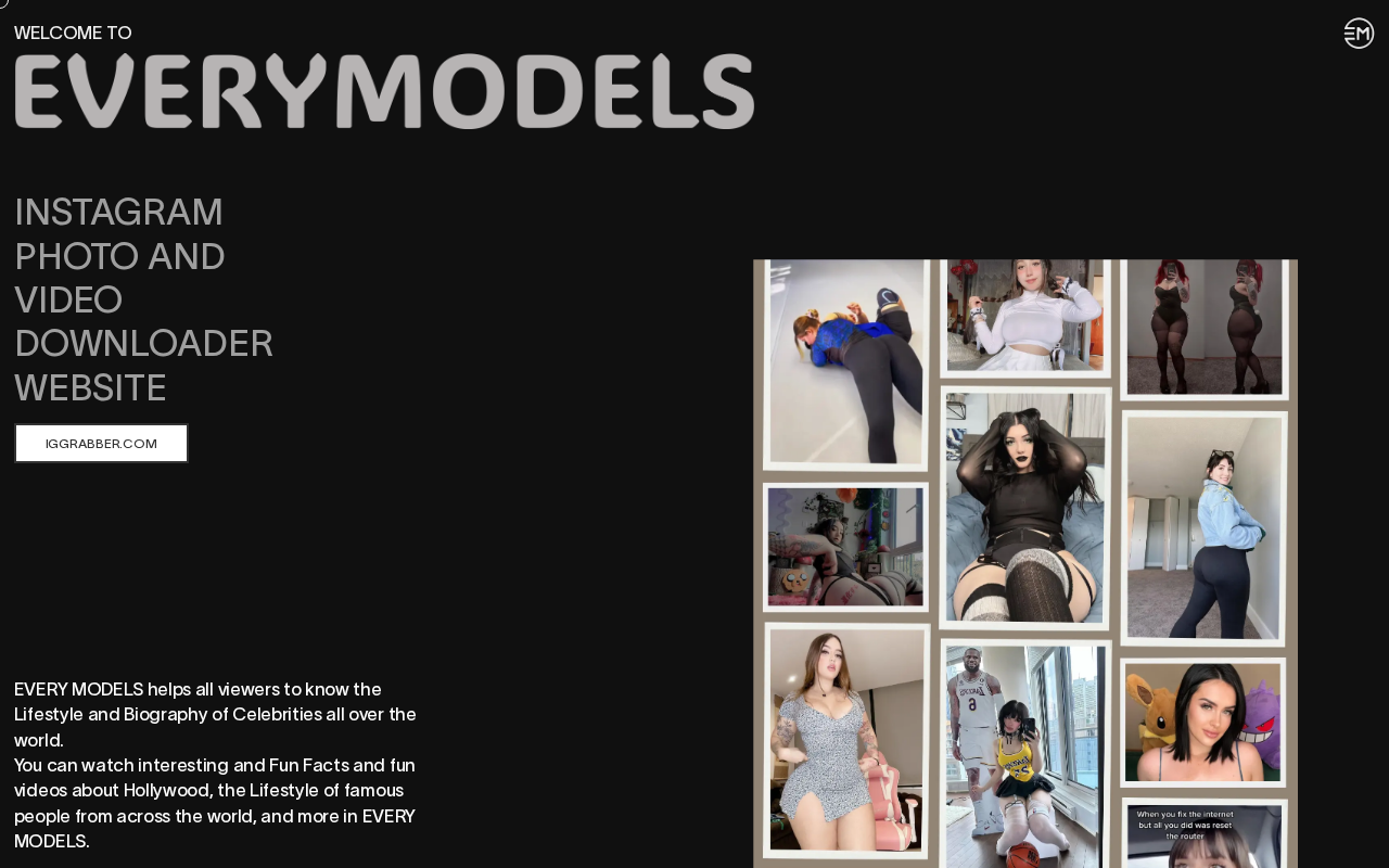 Captured page preview of everymodels.netlify.app