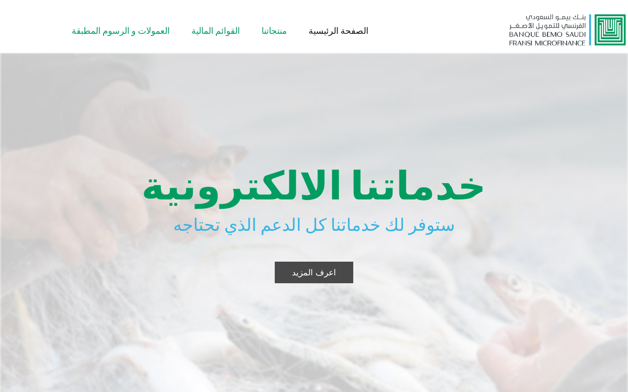 Screenshot of bbsfmf.com