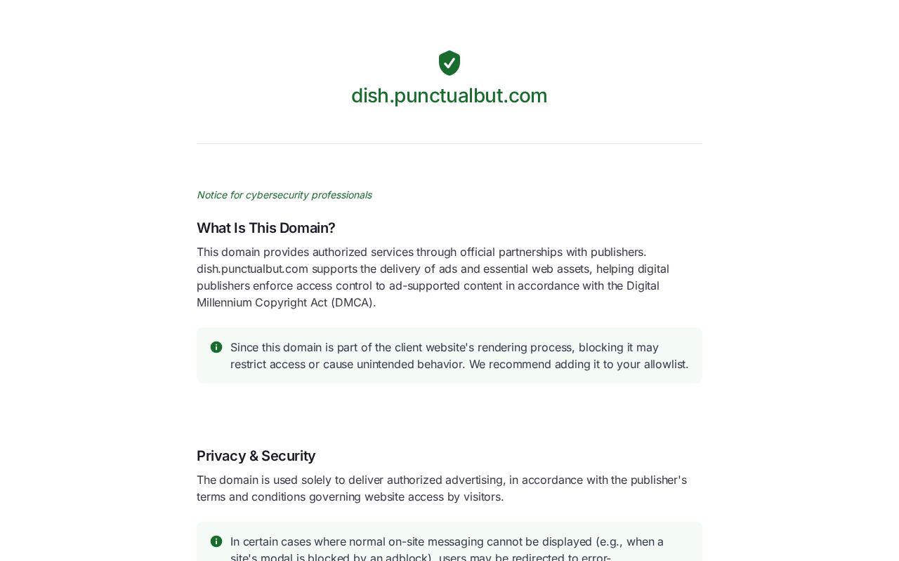 Screenshot of punctualbut.com