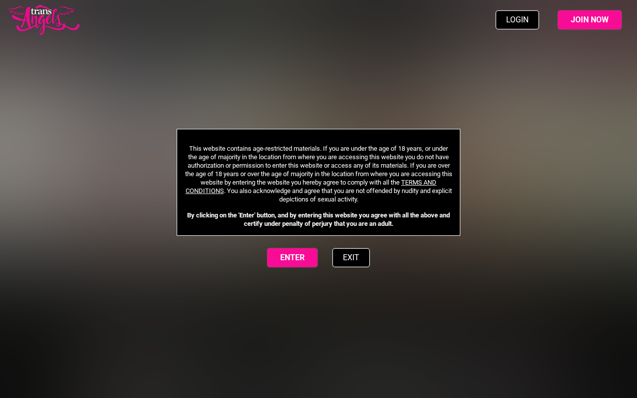 Screenshot of transangels.com
