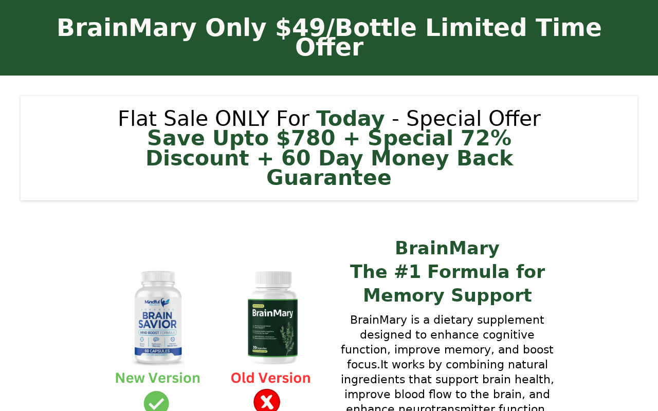 Captured page preview of brainmary.org
