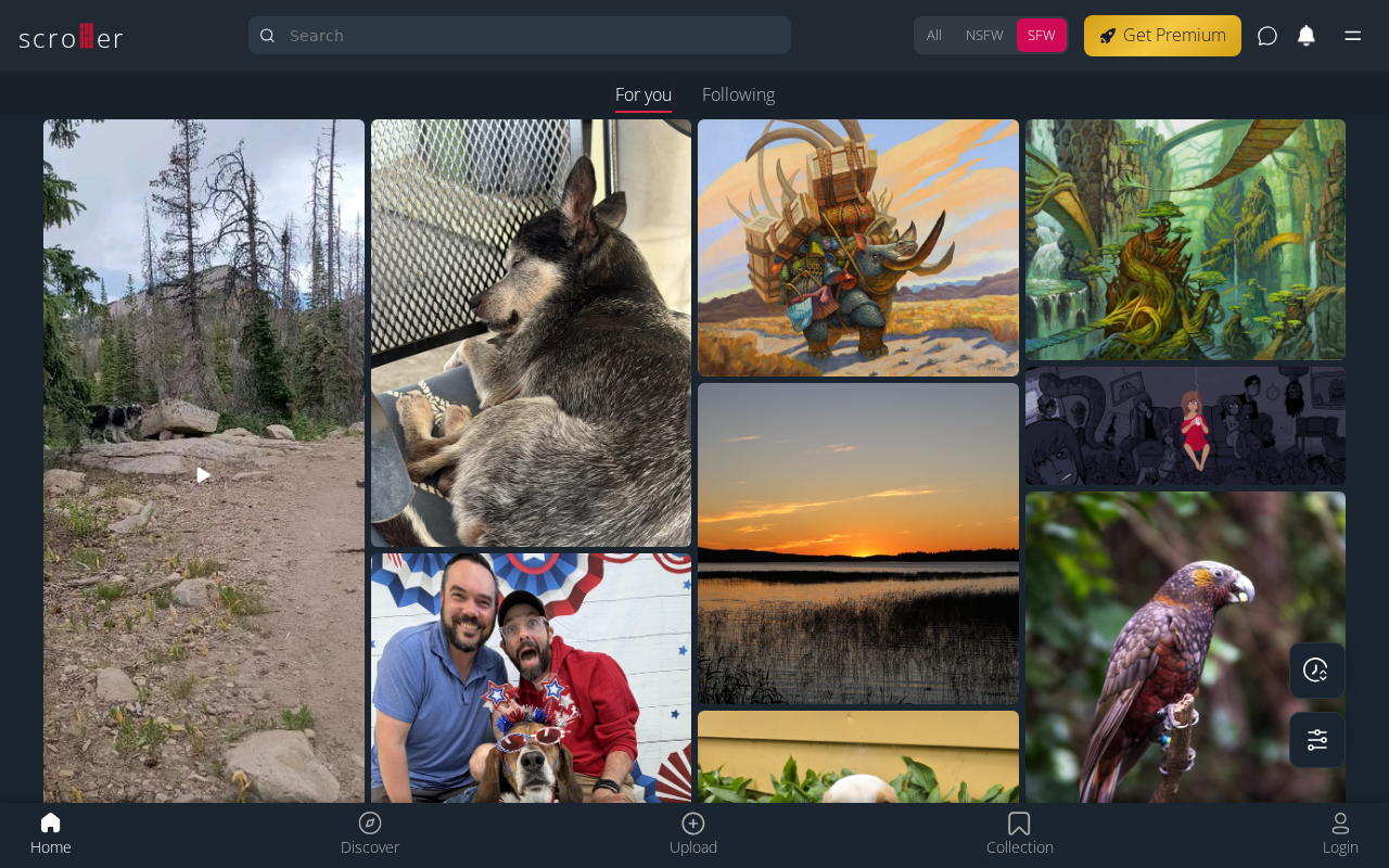 Captured page preview of scrolller.com