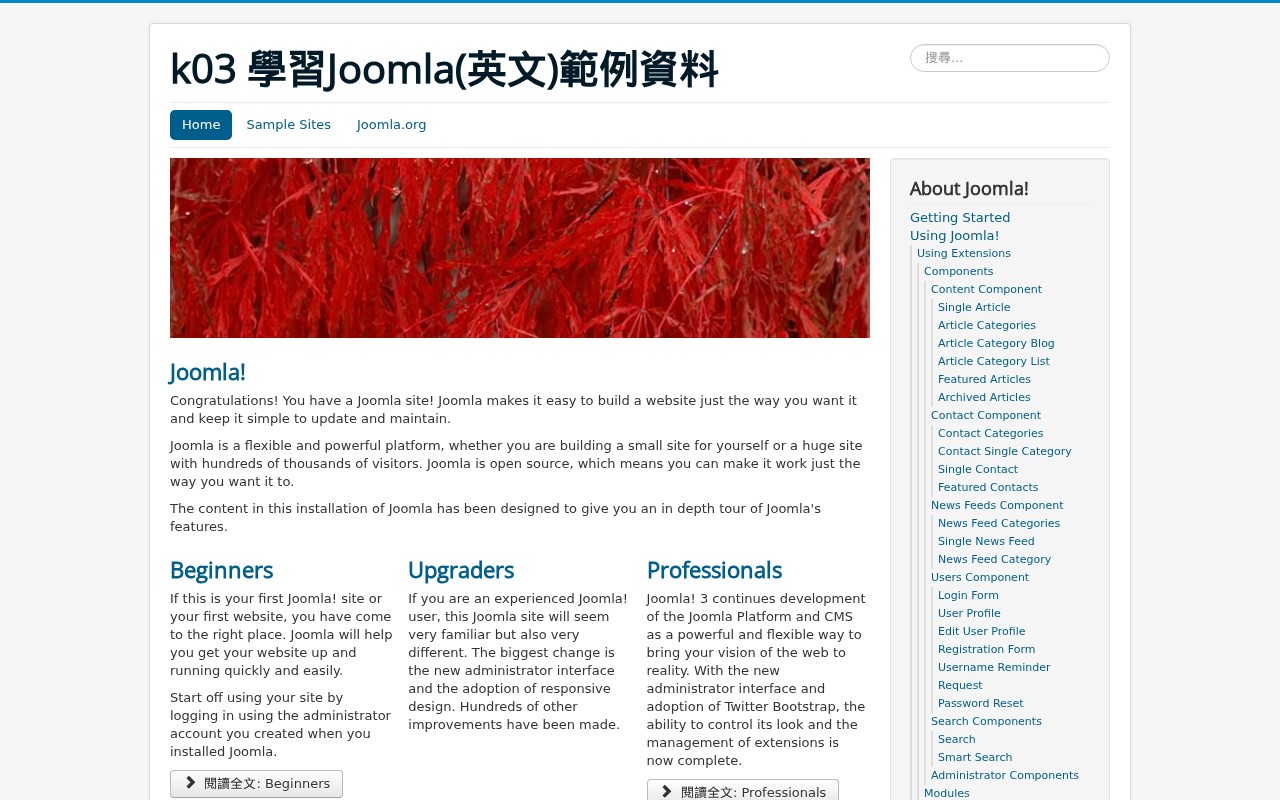 Captured page preview of k03.kcuhhlee.acsite.org